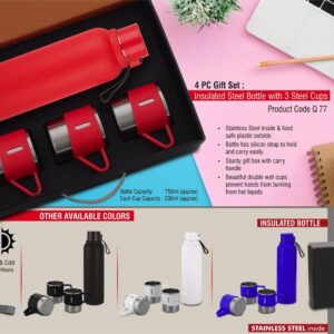 Insulated Steel bottle set